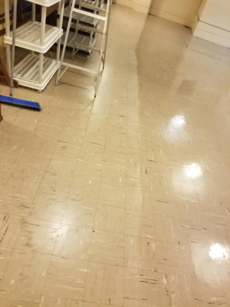 clean floor by sloan